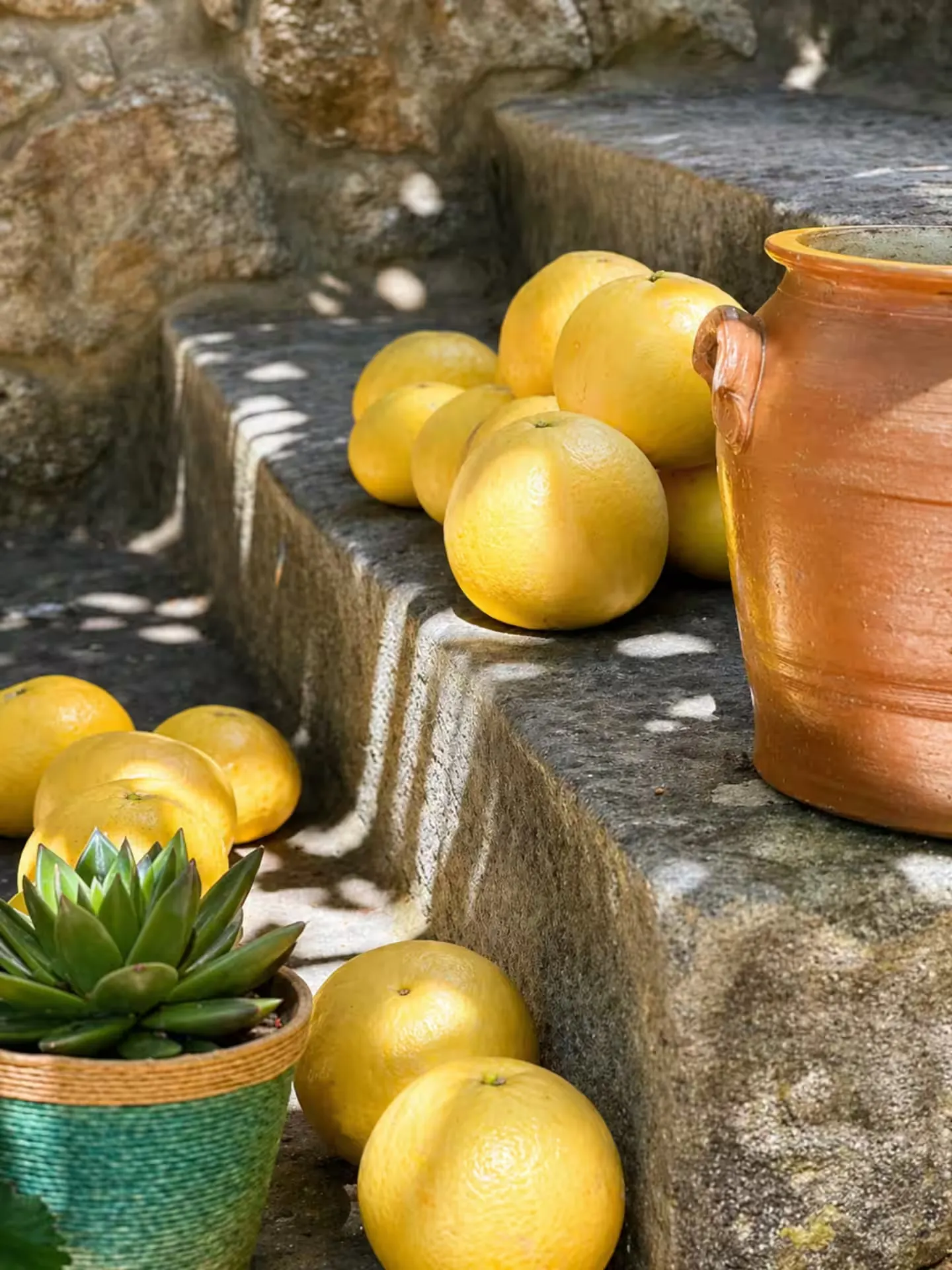 Agrumes du jardin disposés sur les marches en pierre