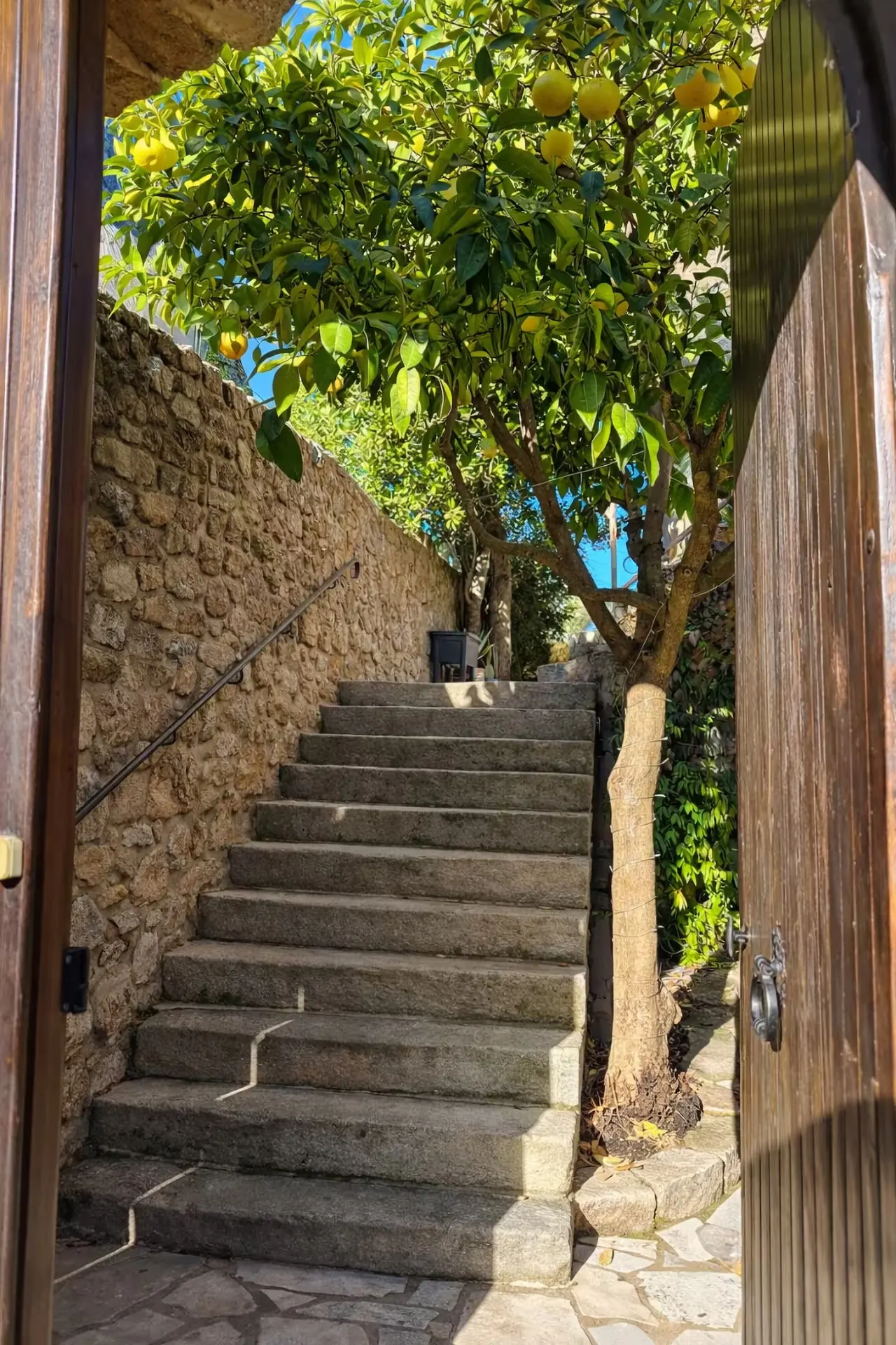 Entrée en pierre sous le citronnier